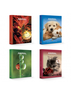 Dekoratívny box na spisy ANIMAL FRIENDS eko